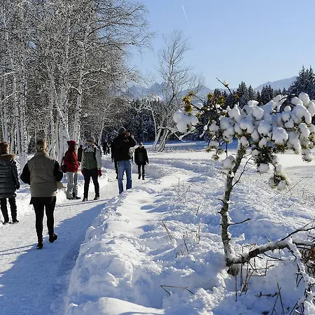 Suedtiroler Stube * Seefeld in Tirol